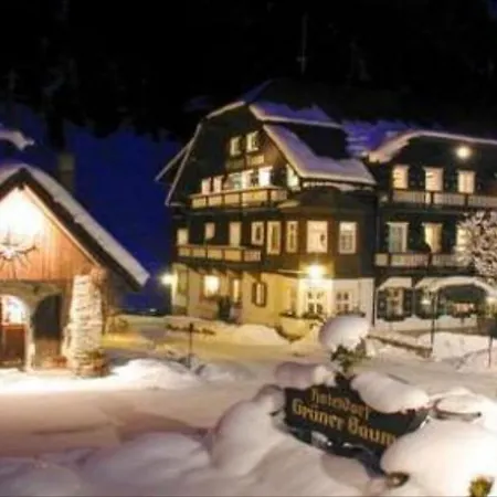 Gruener Baum 酒店 巴德加斯坦