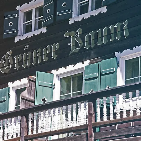 Gruener Baum 酒店 巴德加斯坦