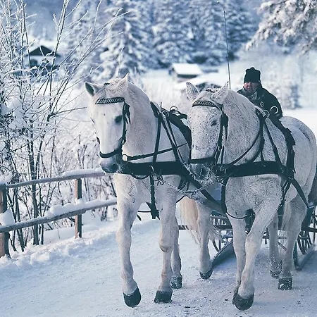 Gruener Baum 酒店 巴德加斯坦