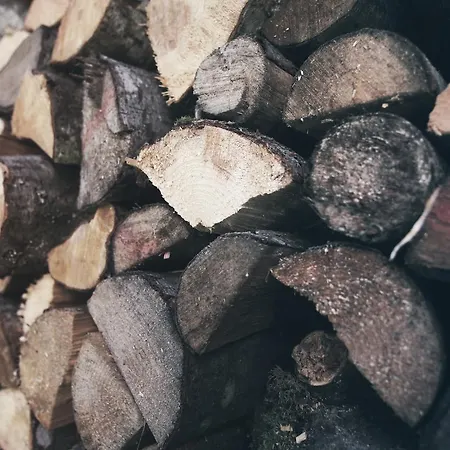 Gruener Baum 巴德加斯坦