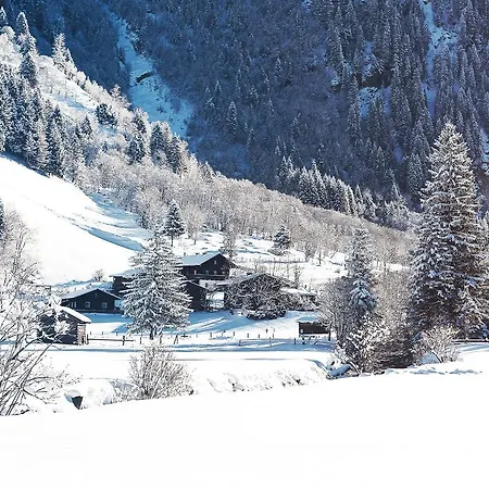 Hotel Gruener Baum