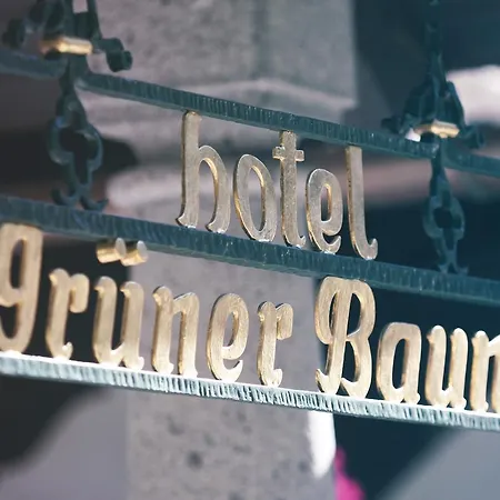 酒店 Gruener Baum 巴德加斯坦