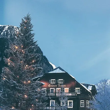 酒店 Gruener Baum