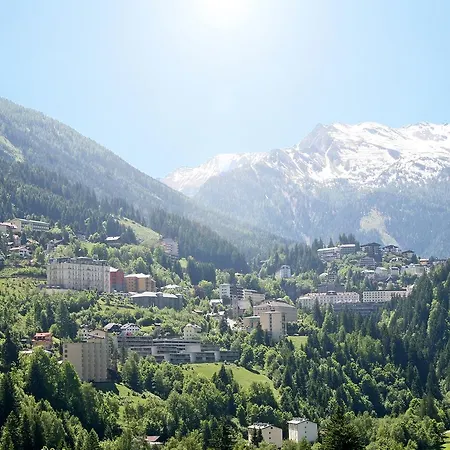 Gruener Baum 巴德加斯坦