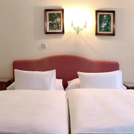 Gruener Baum ホテル バードガシュタイン