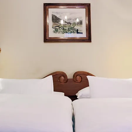 Gruener Baum 4* バードガシュタイン