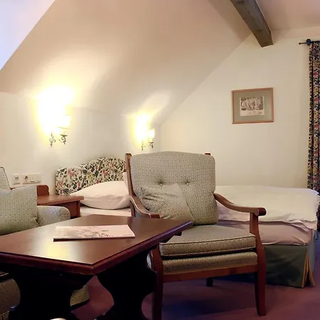 ホテル Gruener Baum バードガシュタイン