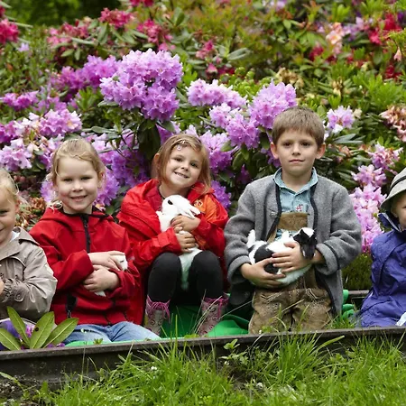 Gruener Baum 巴德加斯坦