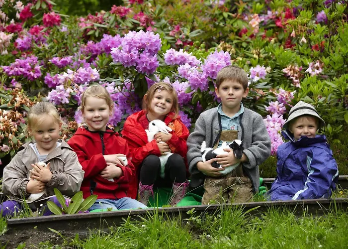 Gruener Baum Bad Gastein